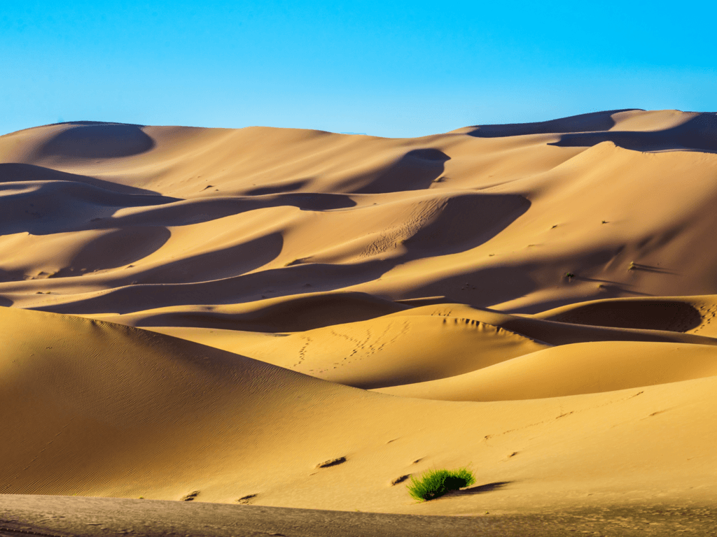 Marruecos y El Gran Desierto