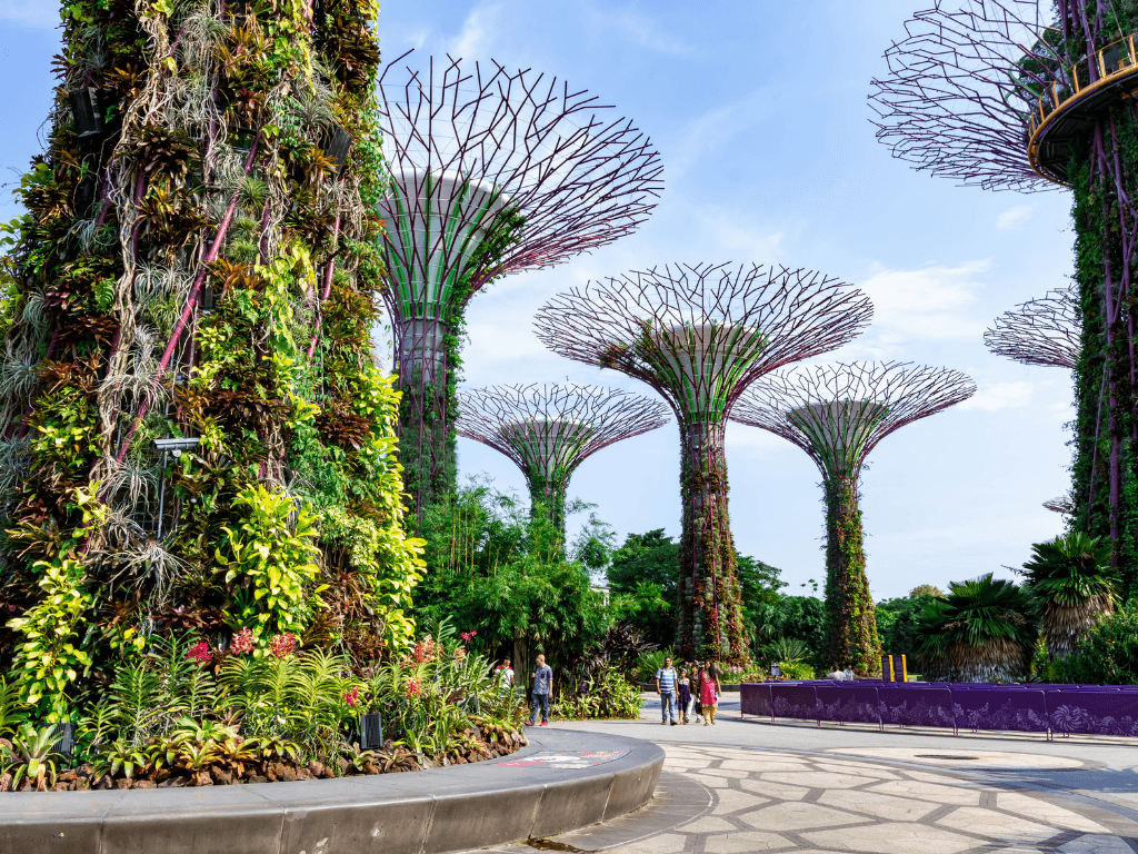 Vietnam, Tailandia y Singapur